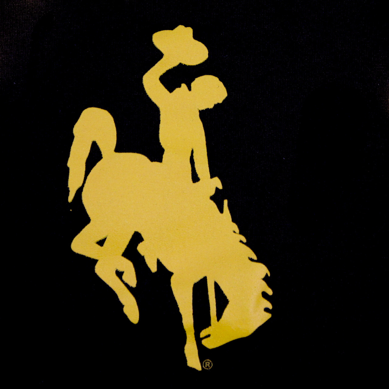 Wyoming Cowboys